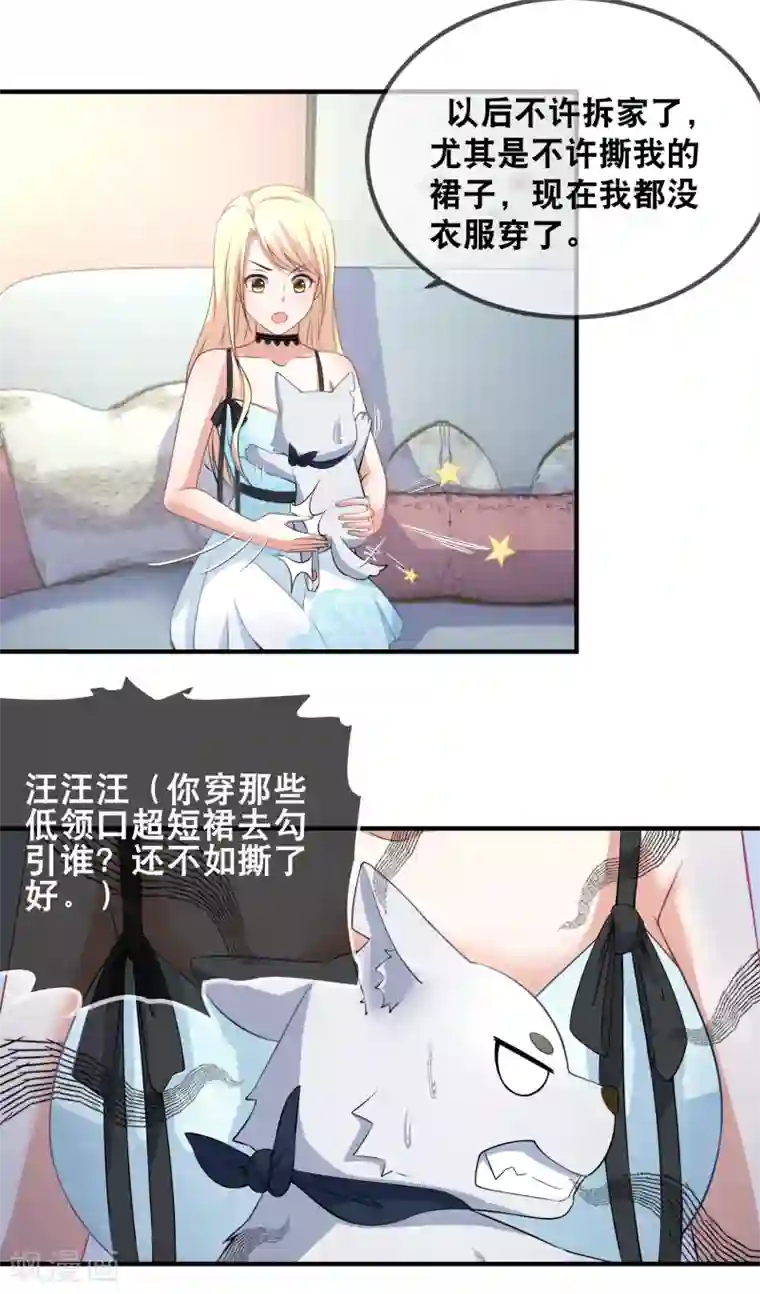 金主大人的锦鲤女孩第41话 拆家二汪被揍