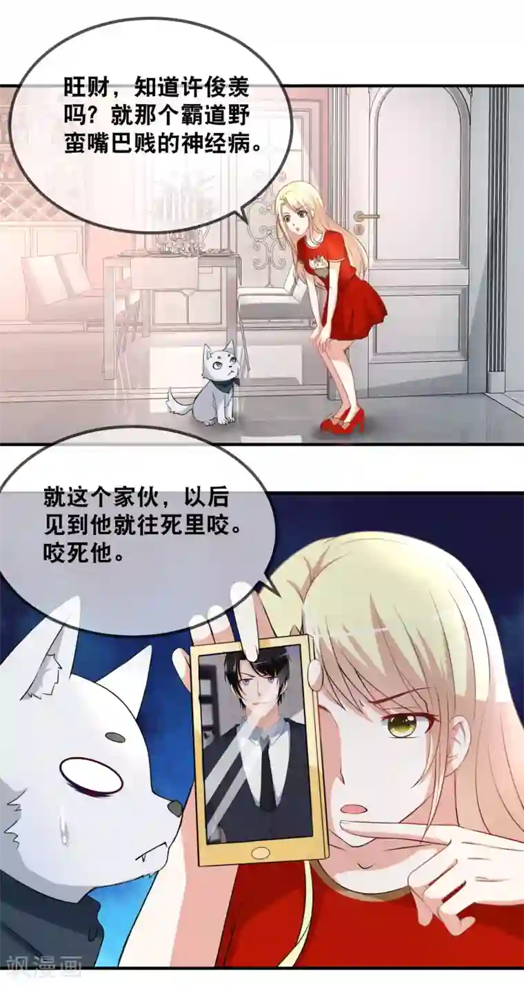 金主大人的锦鲤女孩第47话 锦鲤女神，我们爱你