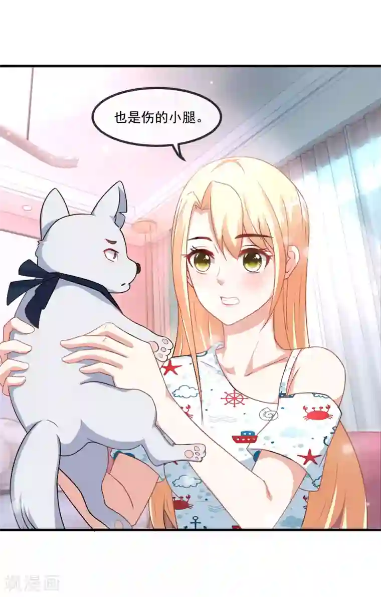 金主大人的锦鲤女孩第80话 野狗