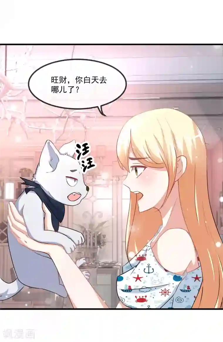 金主大人的锦鲤女孩第80话 野狗