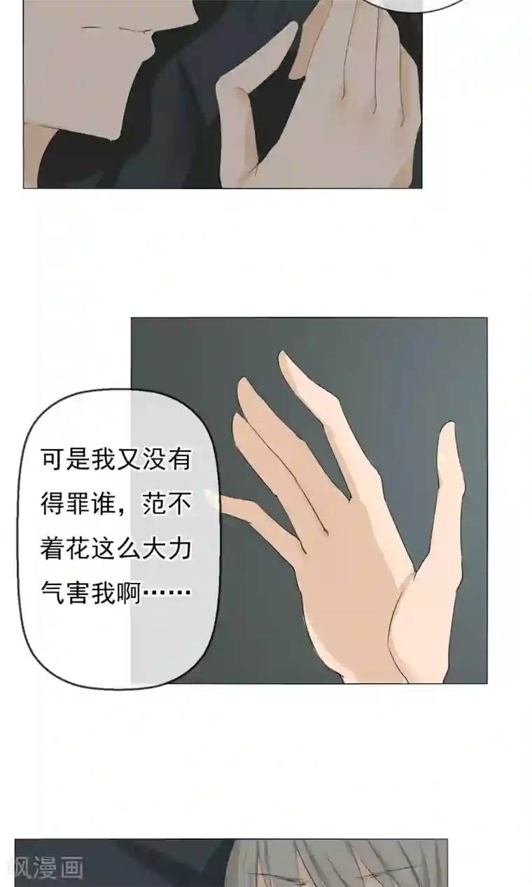 顶级摄影师第6话 巧合还是阴谋