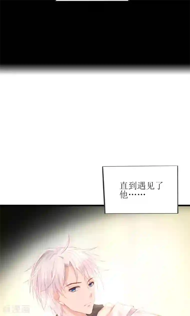 喜欢你的春夏秋冬预告