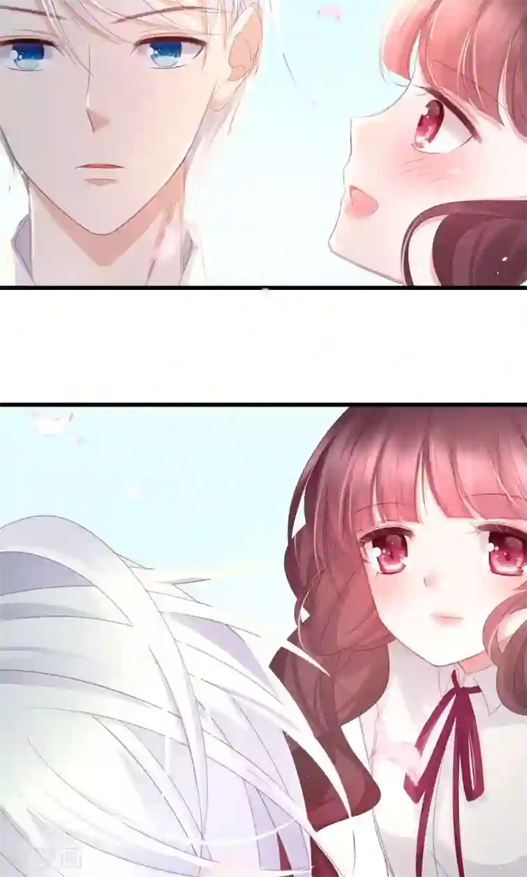 喜欢你的春夏秋冬预告