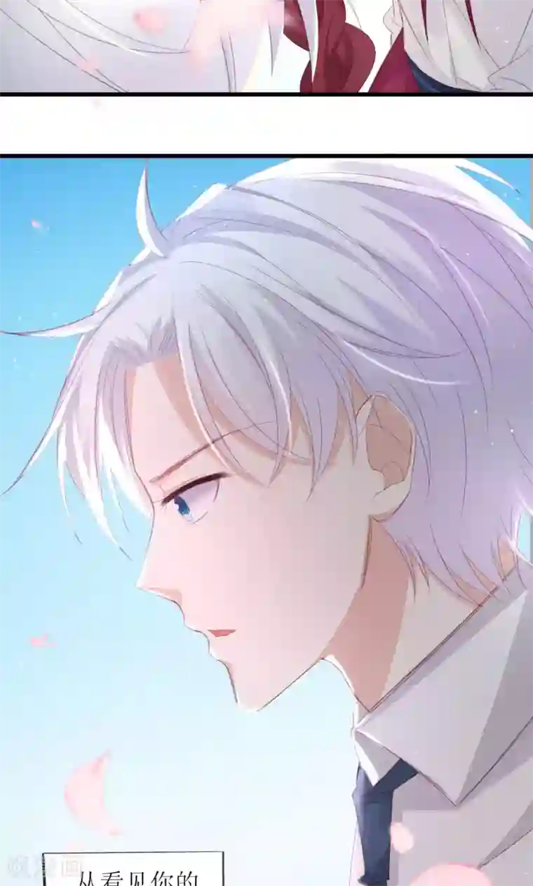 喜欢你的春夏秋冬预告