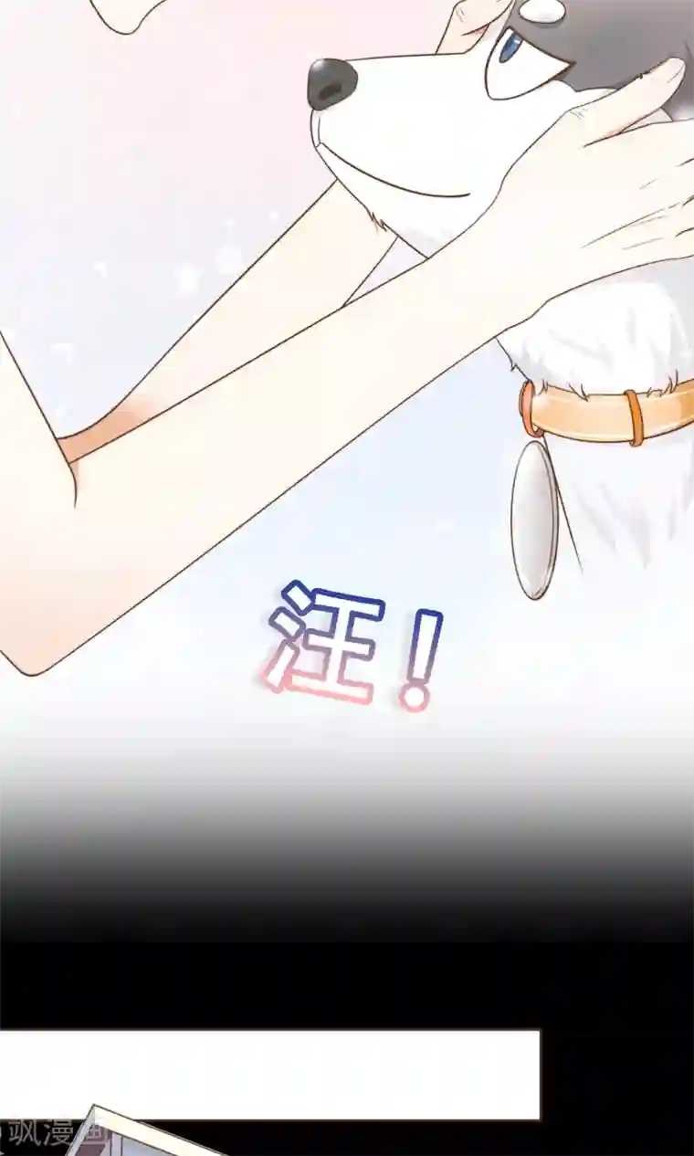 复仇之千金逆袭第6话 入职阮氏