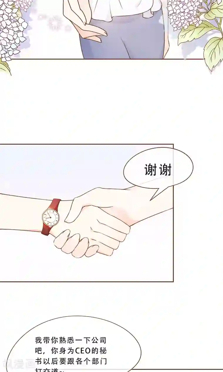 复仇之千金逆袭第6话 入职阮氏