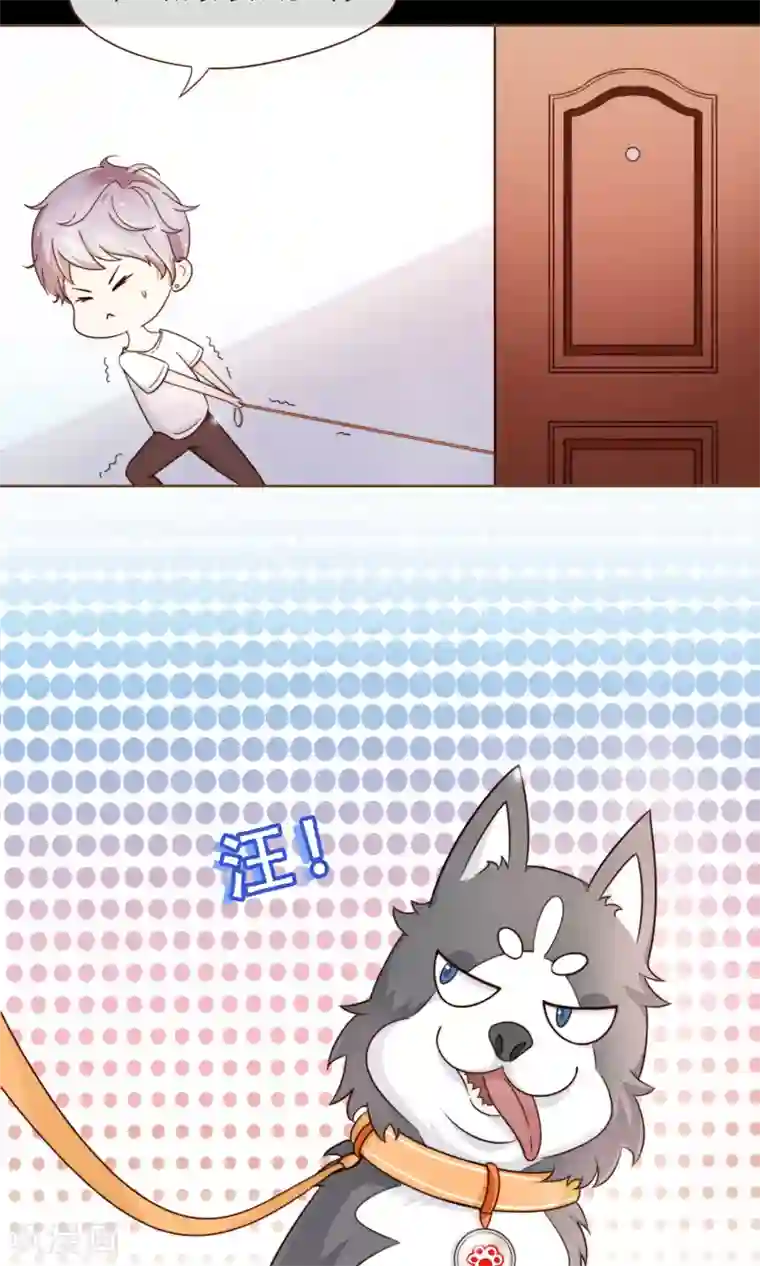 复仇之千金逆袭第6话 入职阮氏