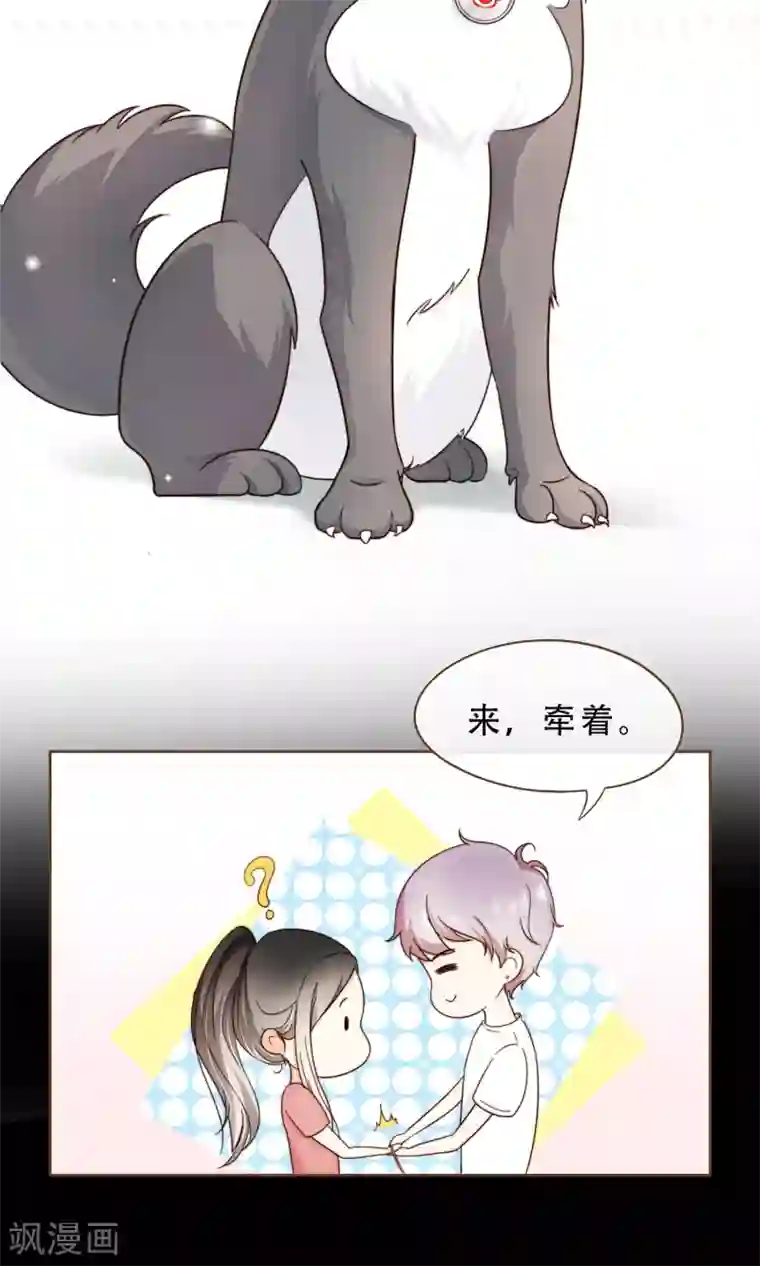 复仇之千金逆袭第6话 入职阮氏