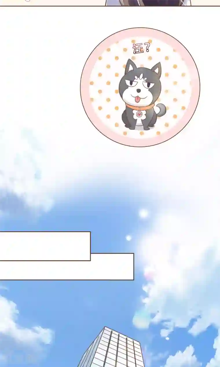 复仇之千金逆袭第8话 春季发布会