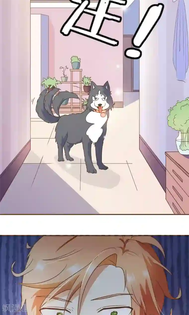 复仇之千金逆袭第25话 没这么简单！