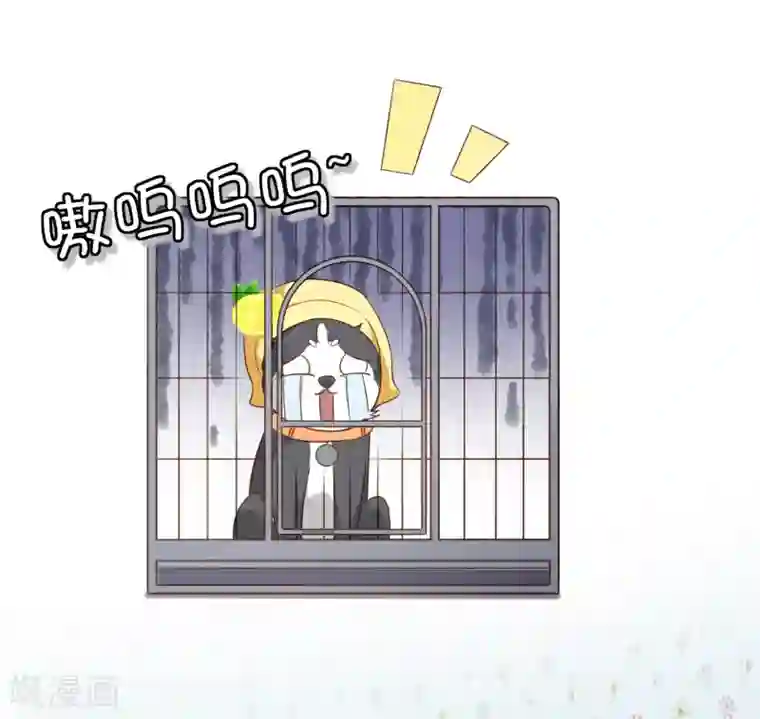 复仇之千金逆袭第73话 我要在你家睡！