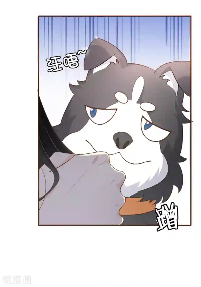 复仇之千金逆袭第79话 不要忘了，殷寻的尸检报告是假的！