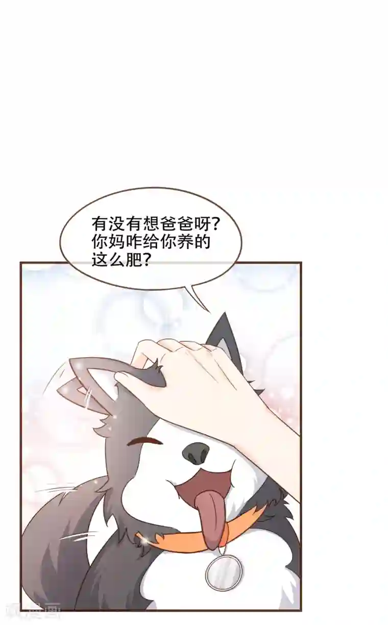 复仇之千金逆袭第81话 丹尼尔的DNA