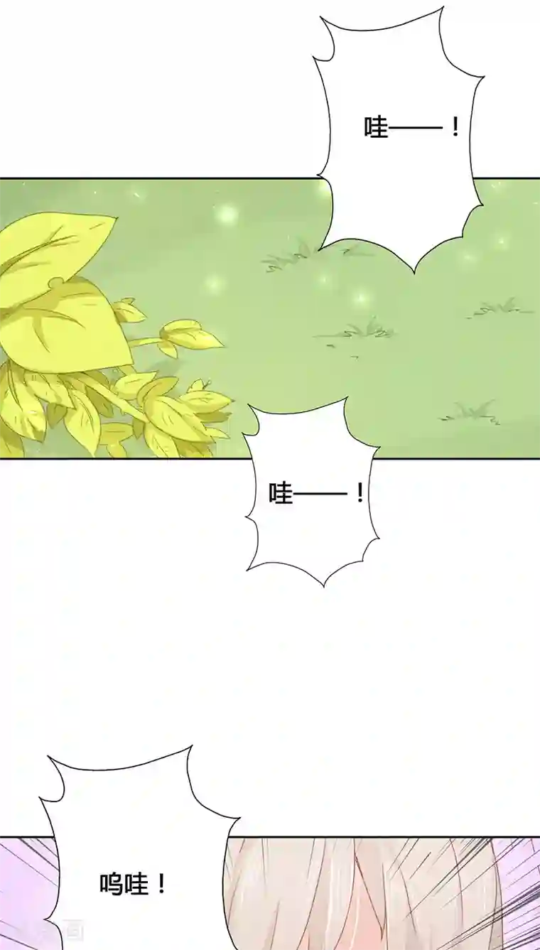 镜花传说第14话