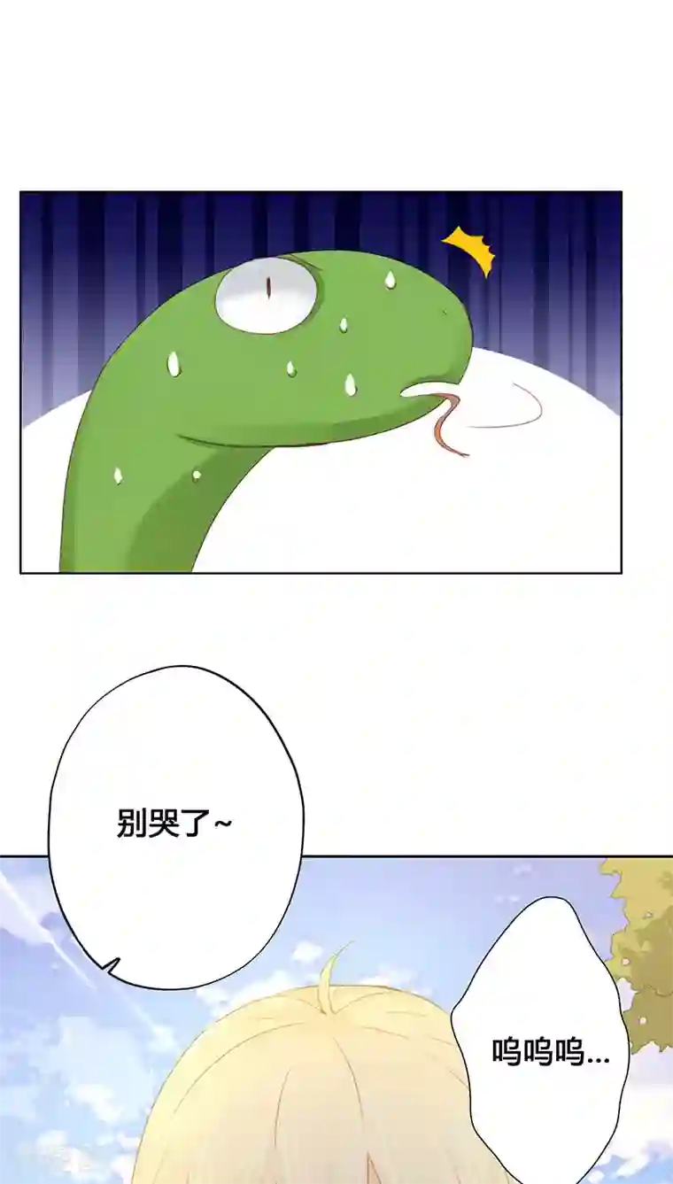 镜花传说第14话