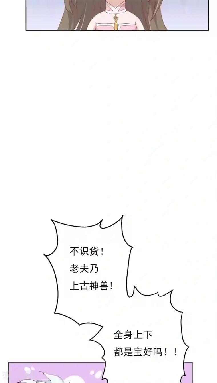 镜花传说第17话