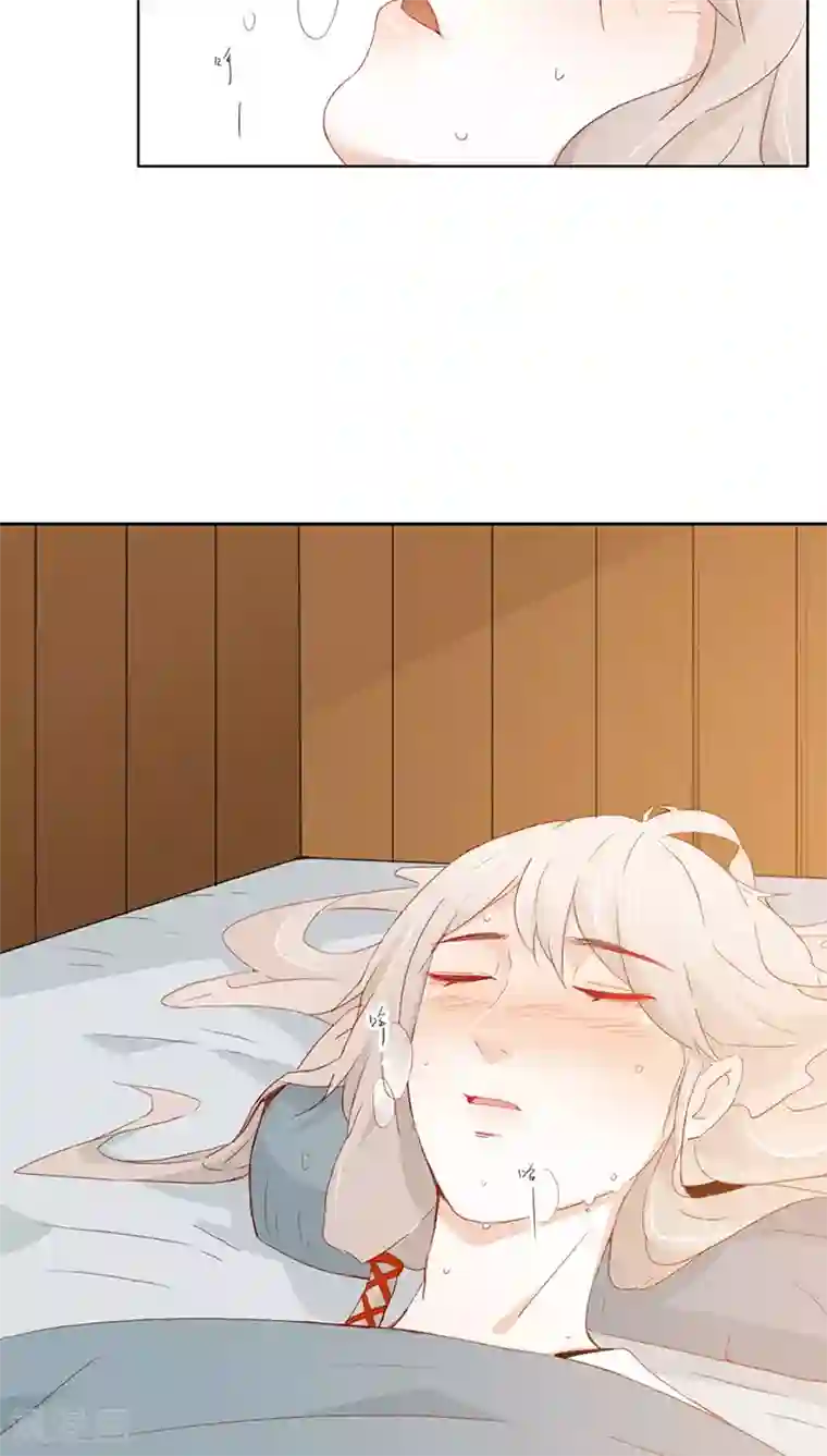 镜花传说第20话