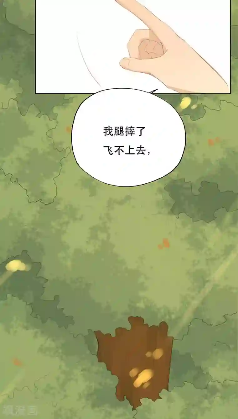 镜花传说第21话