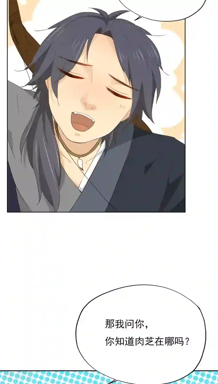 镜花传说第22话