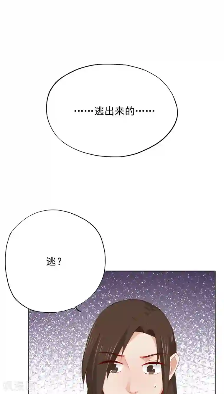 镜花传说第23话