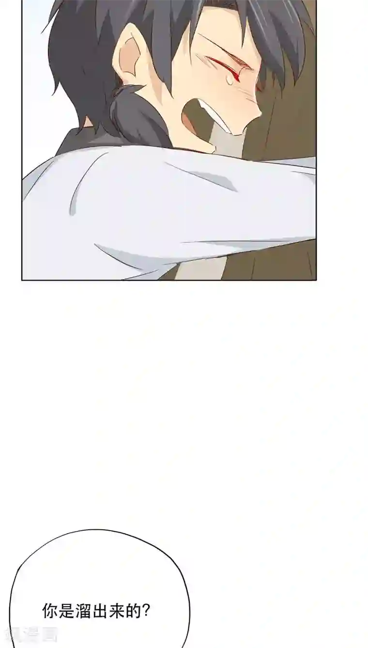 镜花传说第25话