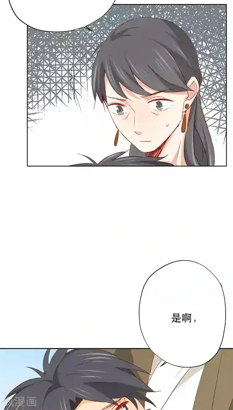 镜花传说第25话