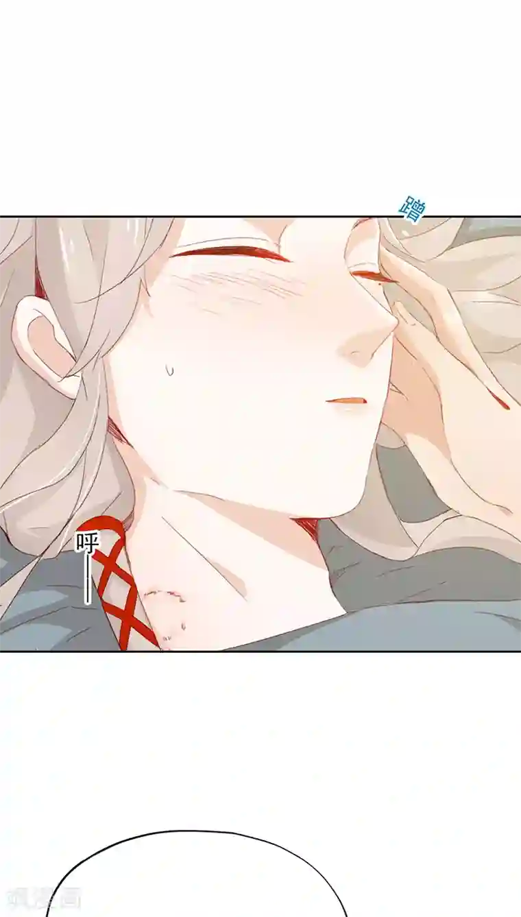 镜花传说第29话