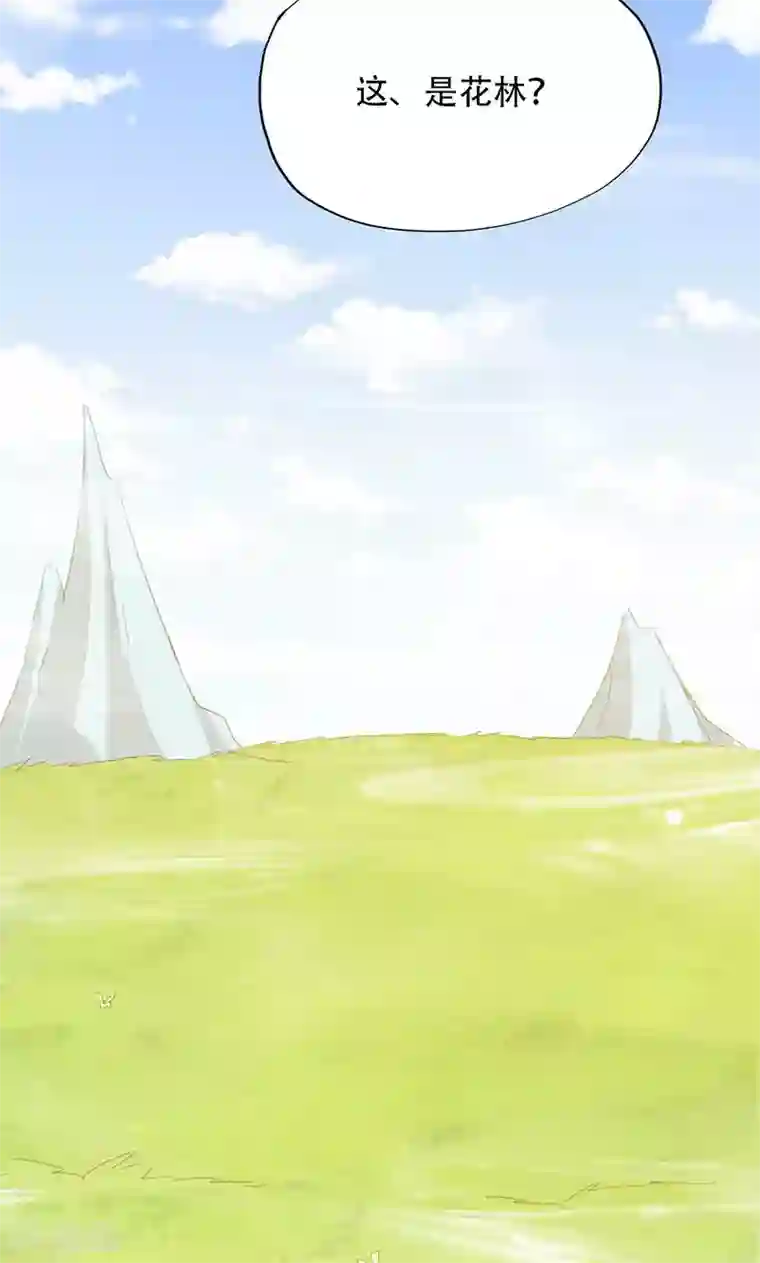 镜花传说第33话