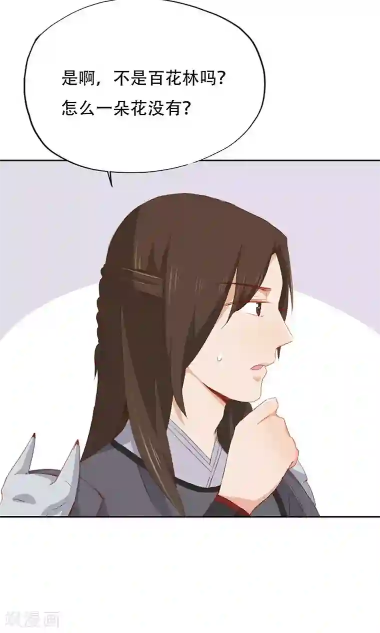 镜花传说第33话