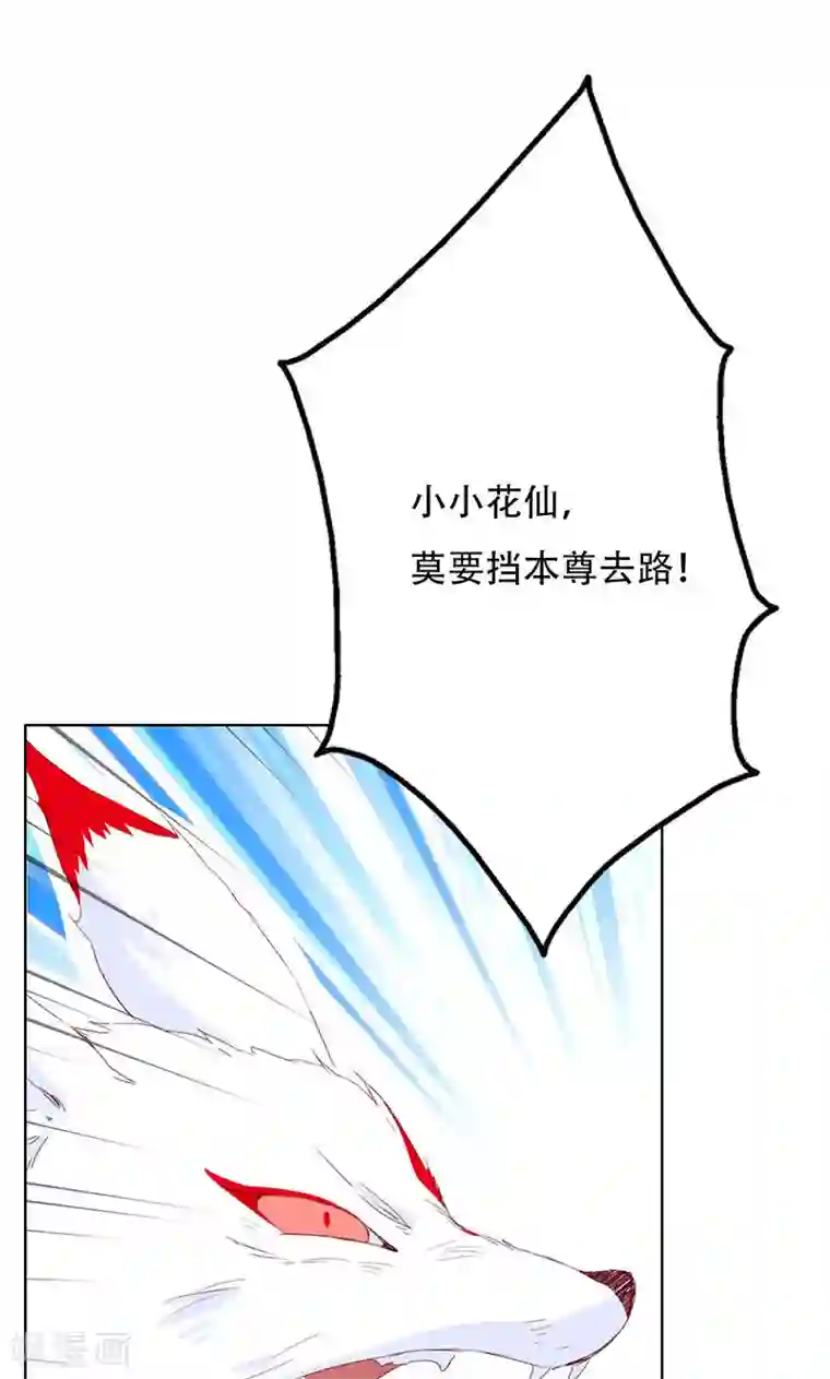 镜花传说第33话