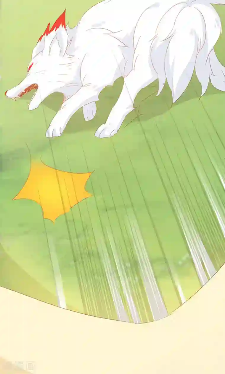 镜花传说第34话