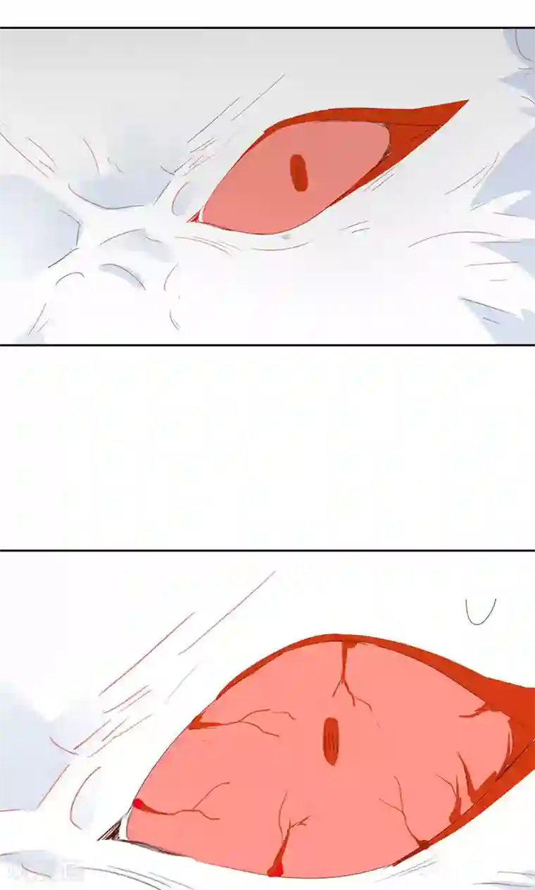 镜花传说第34话