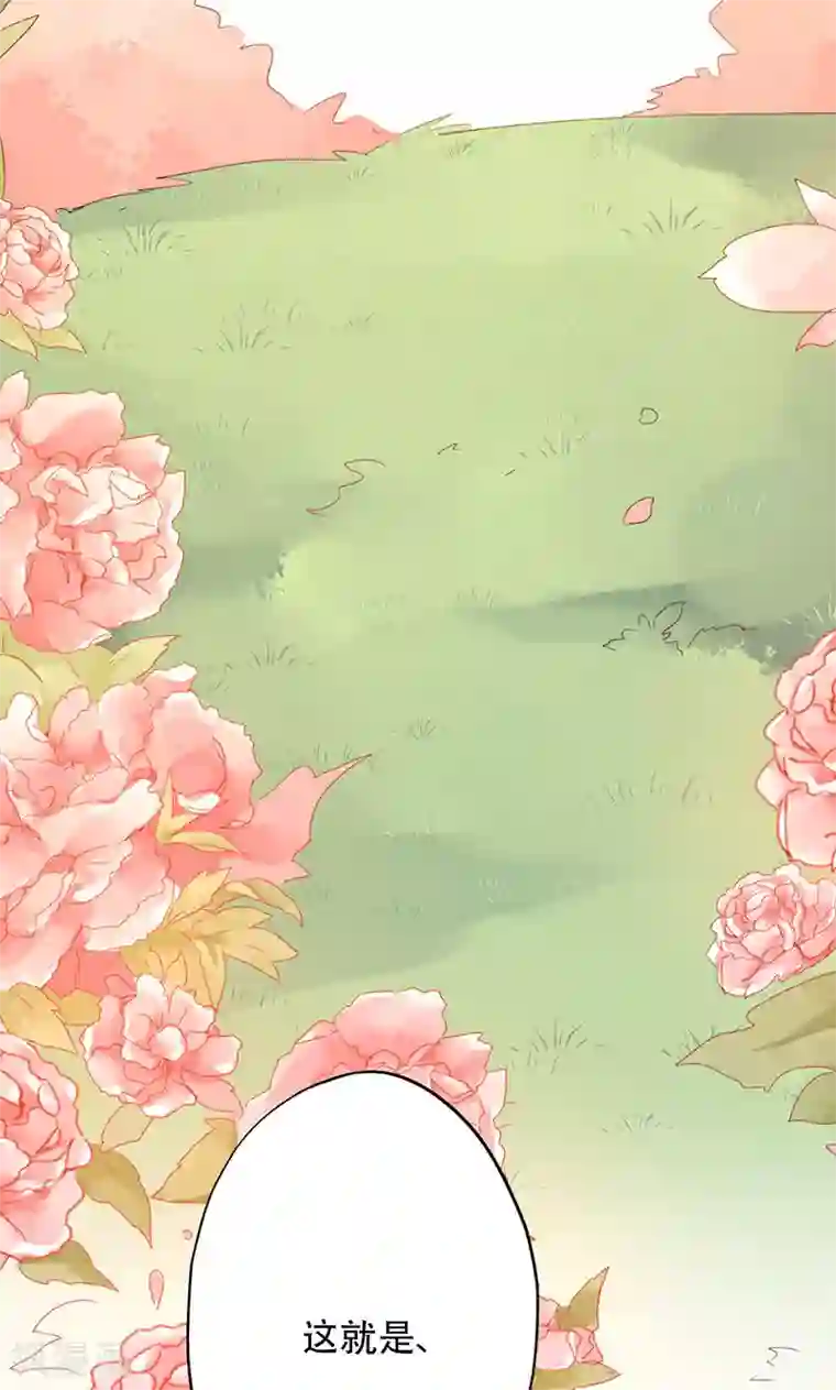 镜花传说第35话