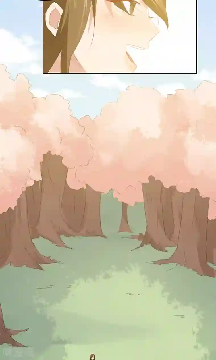 镜花传说第35话