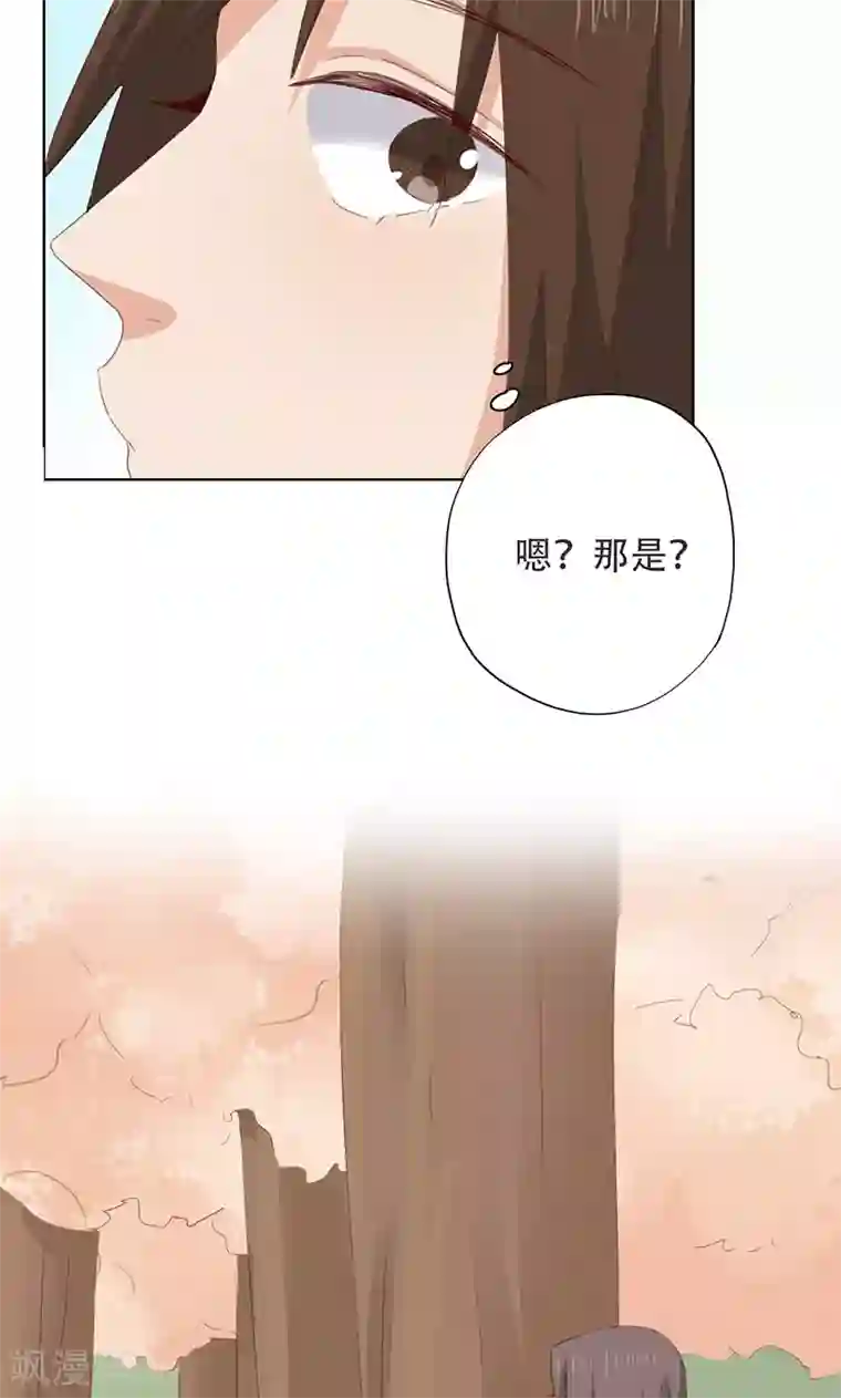 镜花传说第36话