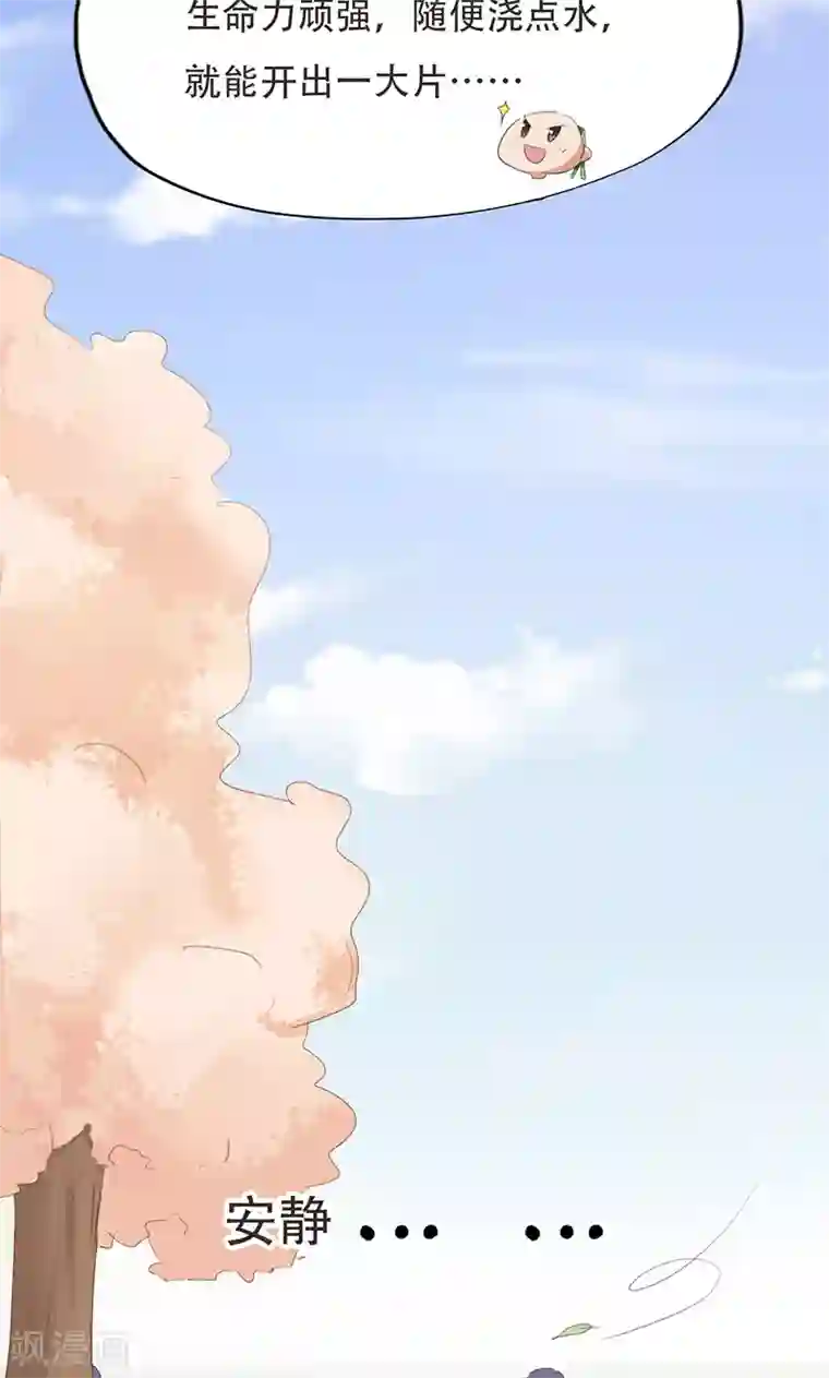 镜花传说第36话