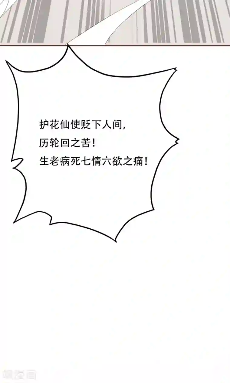 镜花传说第37话