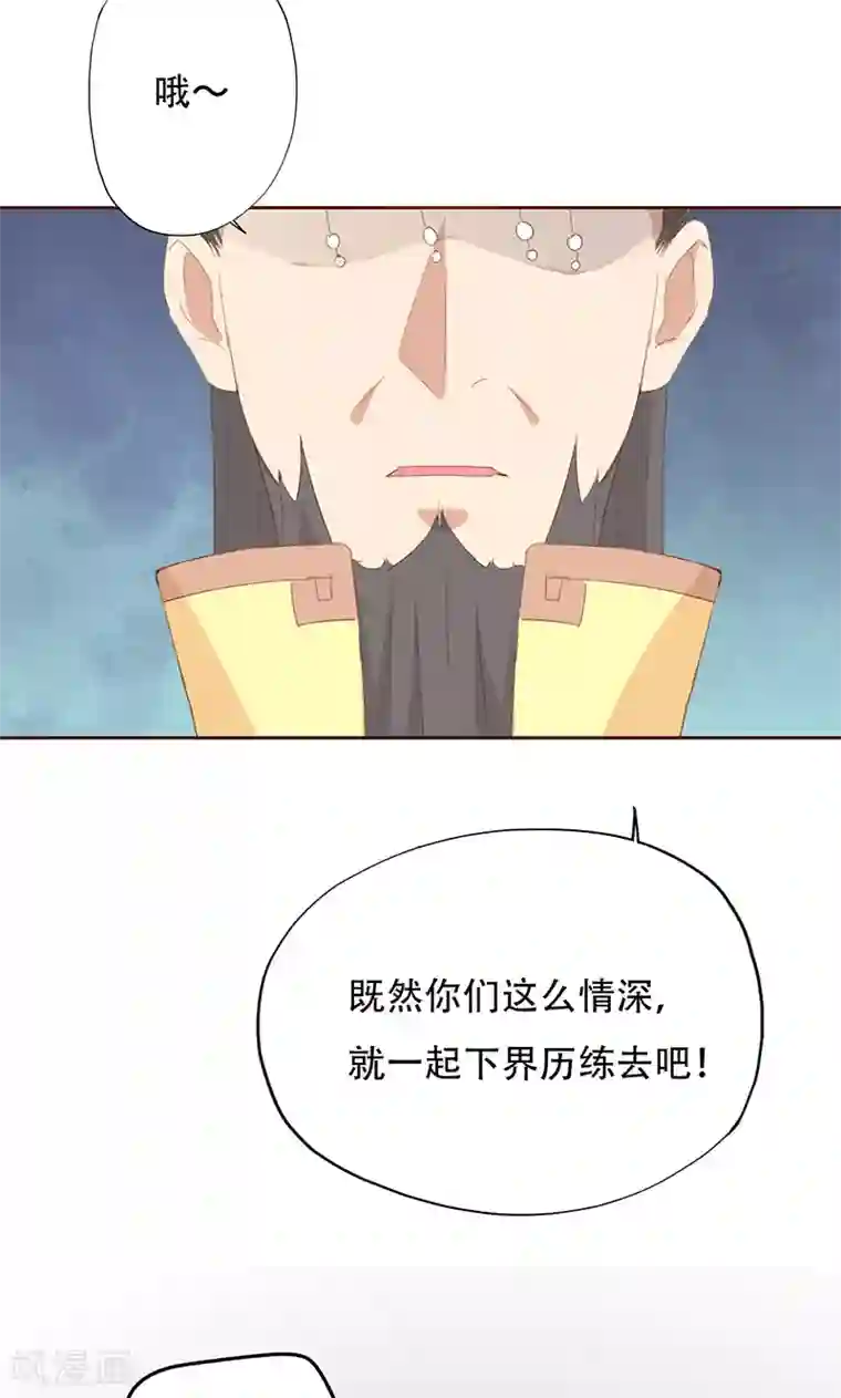 镜花传说第37话