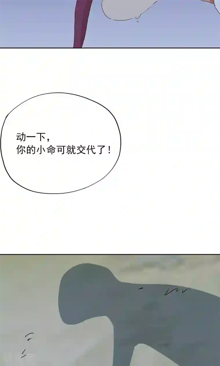 镜花传说第48话