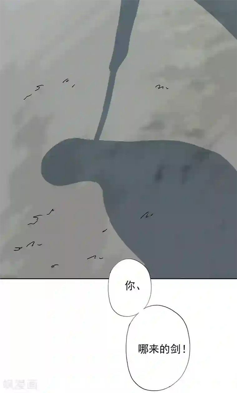 镜花传说第48话