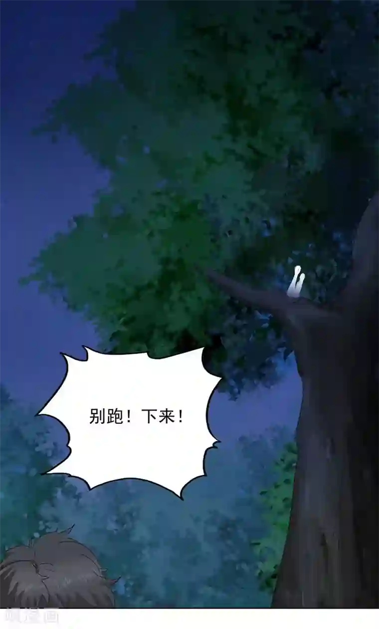 镜花传说第48话