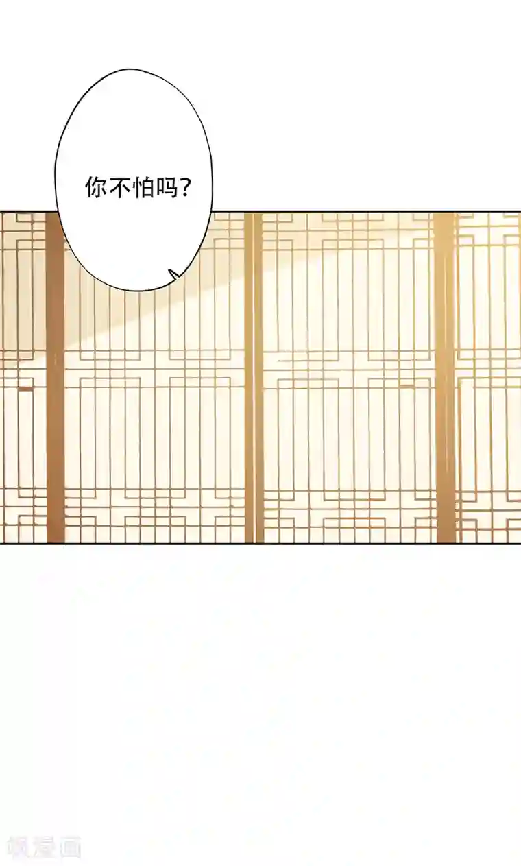 镜花传说第51话