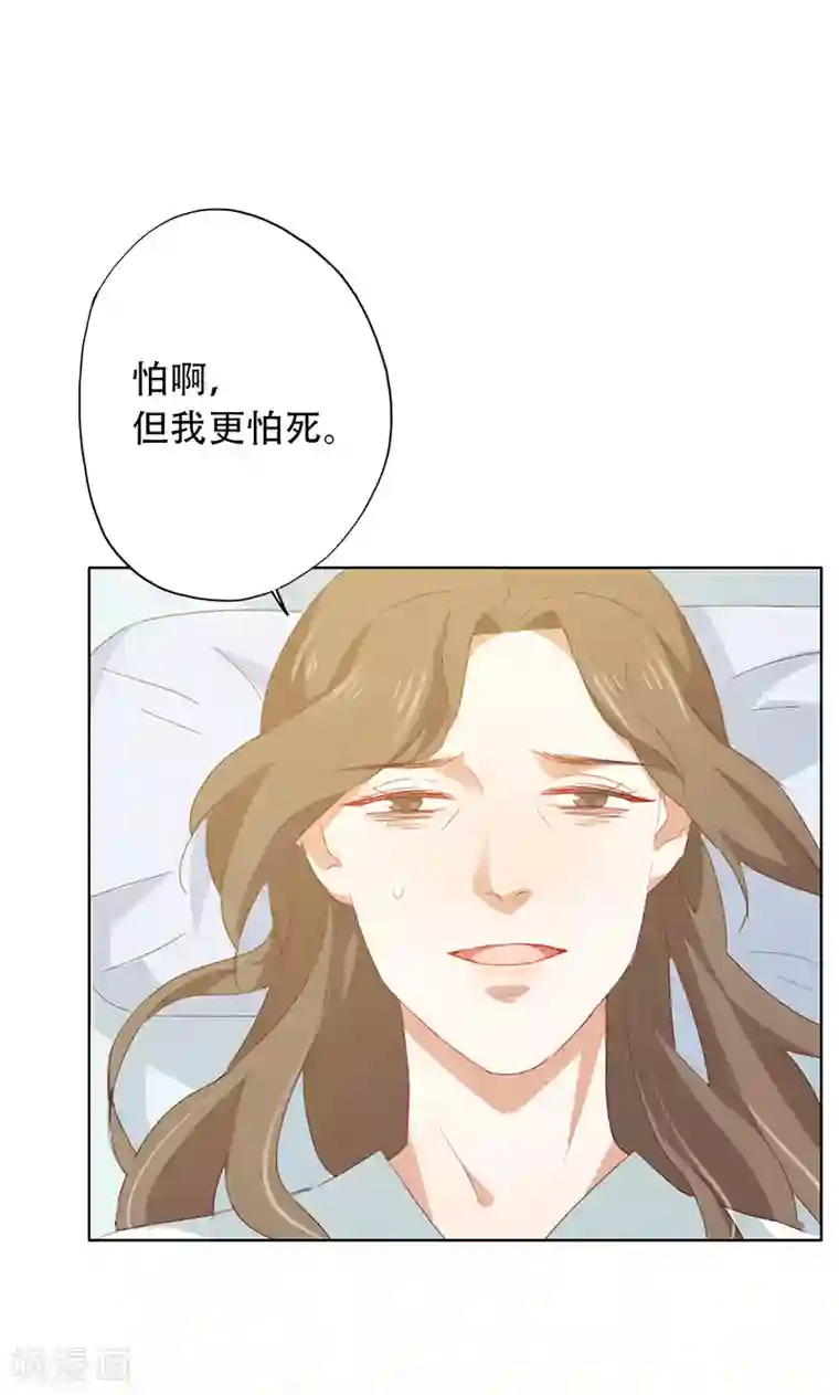 镜花传说第51话