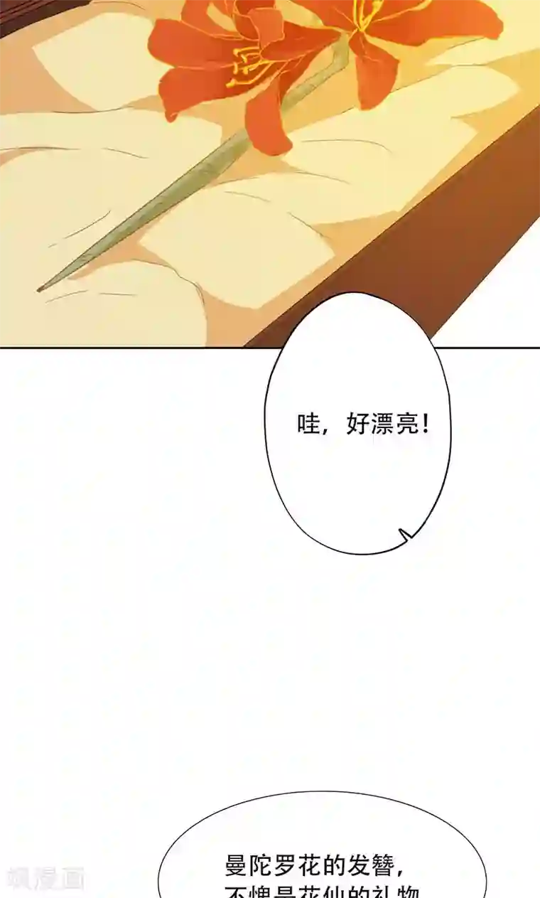镜花传说第53话