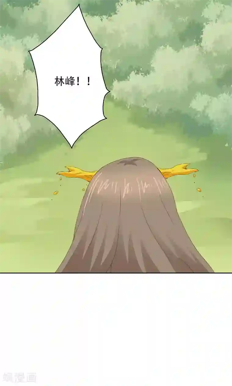 镜花传说第56话