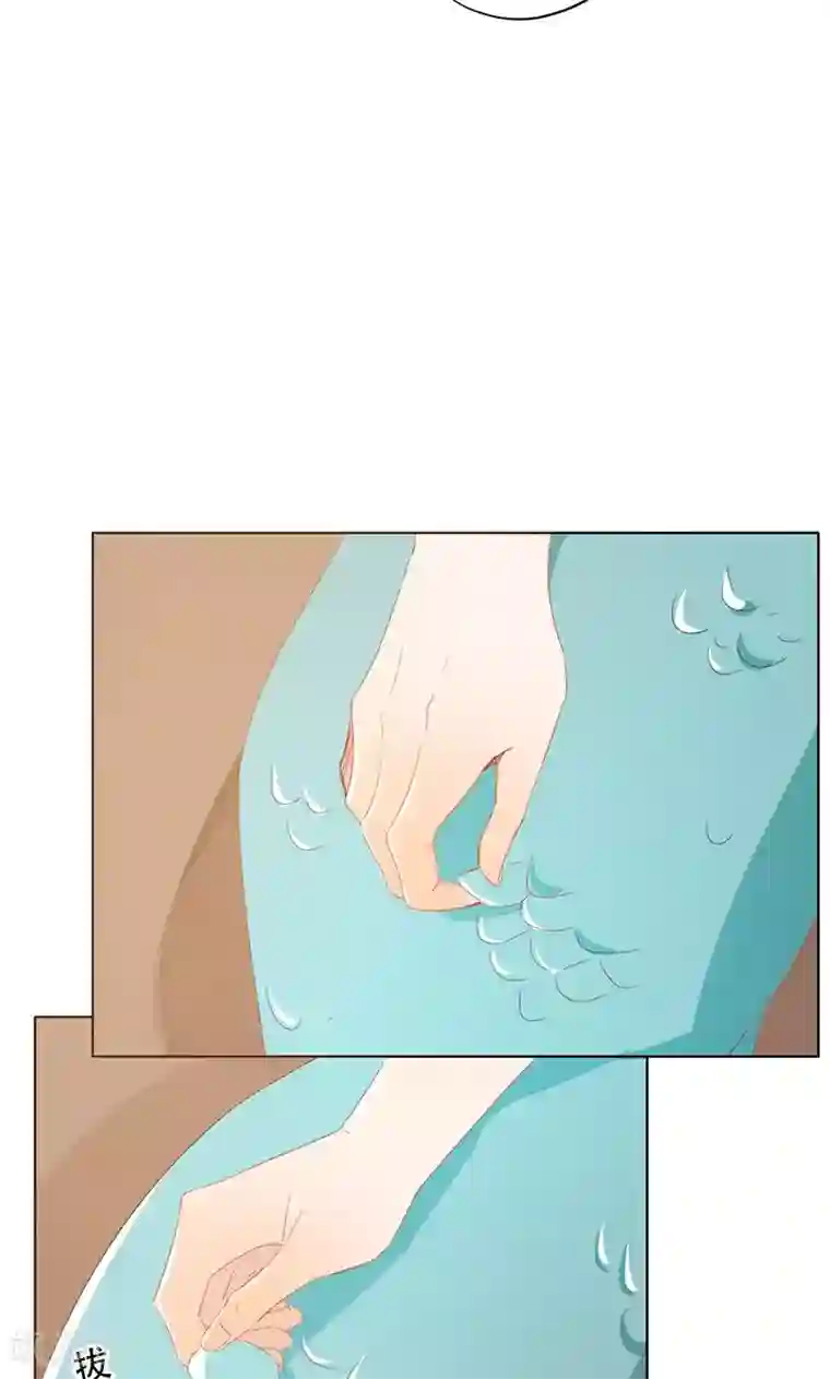 镜花传说第59话