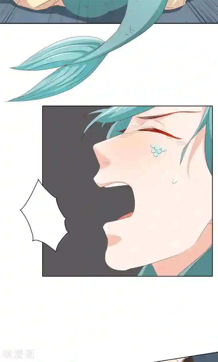 镜花传说第61话