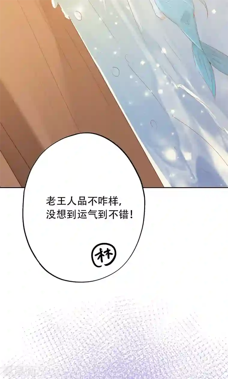 镜花传说第63话
