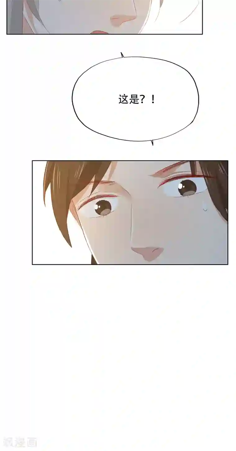 镜花传说第67话