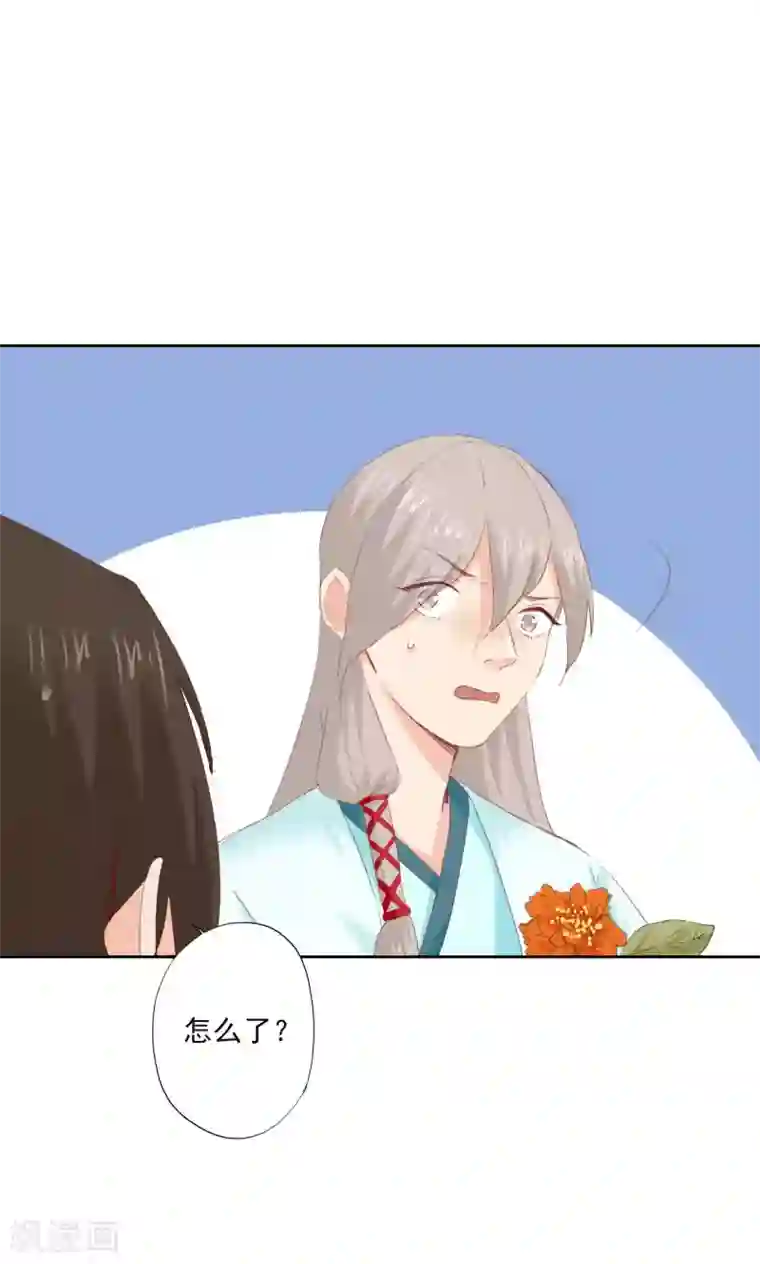 镜花传说第72话